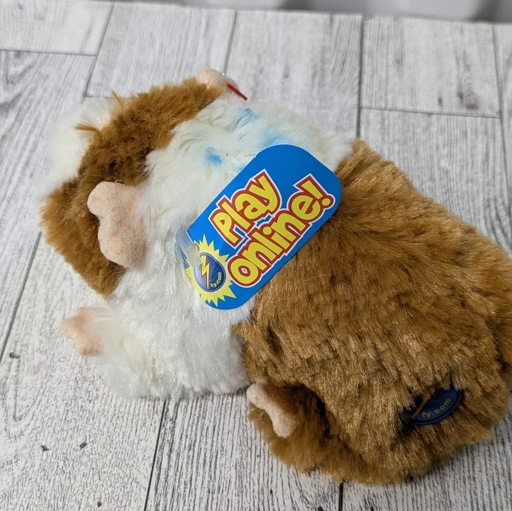 Ty adorable guinea